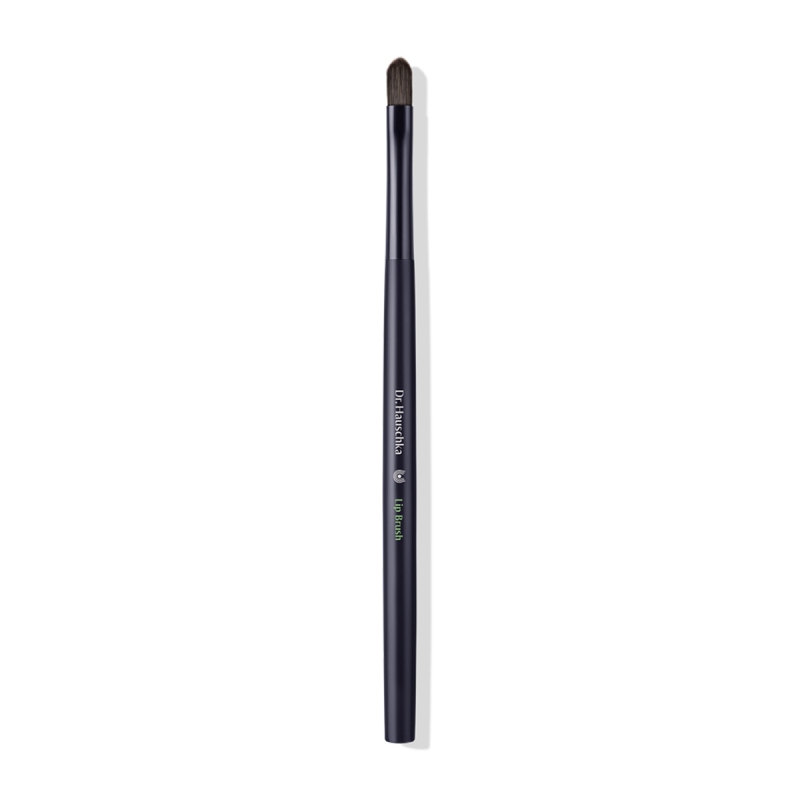 Lip brush