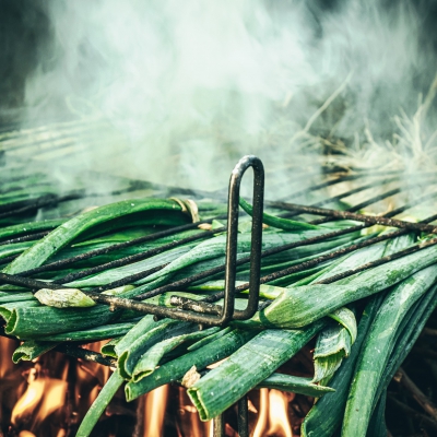 Geblakerde prei van de BBQ