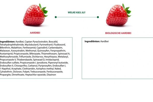 Welke aardbei kies jij?