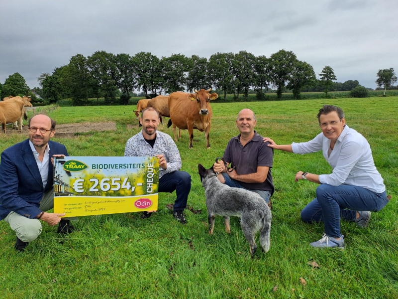 Vier mannen en een hond op een grasveld met koeien, houdend een bord met € 2.654 voor het Boerensteunfonds, ondersteunend de Odin imkerij tijdens Meimaand Bijmaand.
