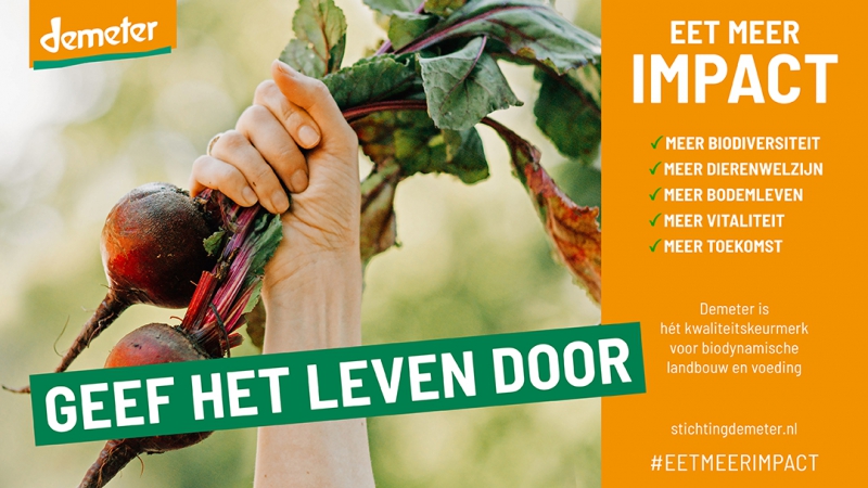 Hand houdt verse bieten en groenten vast, promotie van duurzaam eten voor meer biodiversiteit, dierenwelzijn en vitaliteit.