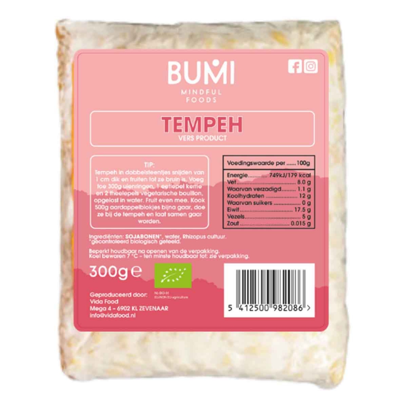 Tempeh naturel