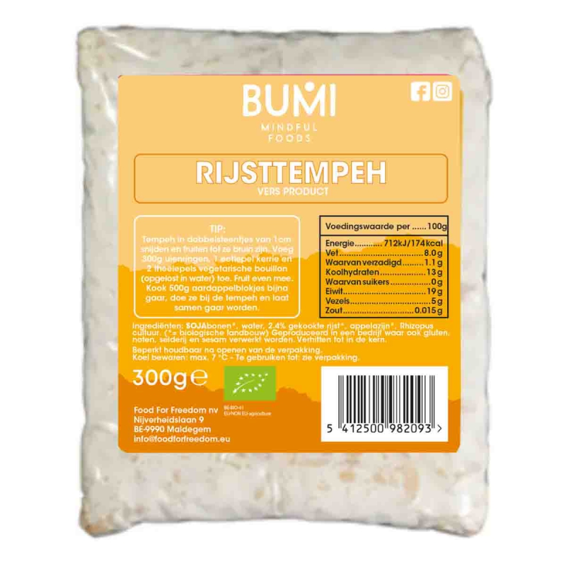 Rijsttempeh