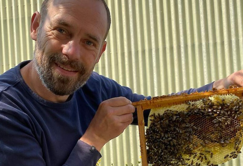 Imker toont honingraat met bijen tijdens onderzoek naar stralingseffecten biodynamische bijenkast