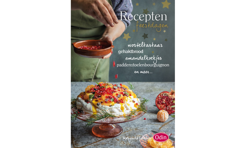 Voorpagina receptenboekje met feestelijke Pavlova versierd met vers fruit en bessen