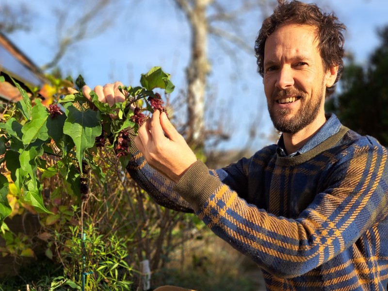 Duurzame voeding en eetbare planten in de tuin
