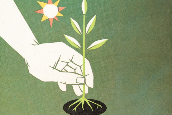Regeneratieve landbouw: toekomstbestendig of greenwashing?