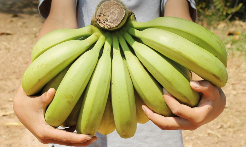 Bananen trueprice true price eerlijk duurzaam peru odin food cooperatie