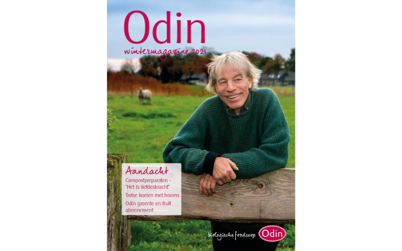 Odin Wintermagazine 2021 cover