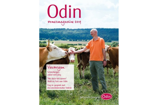 Zomermagazine 2019