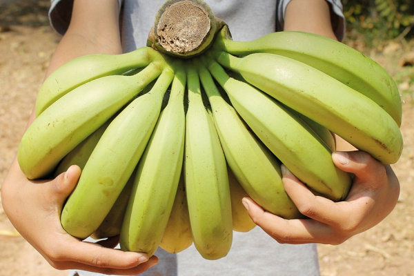 True Price-actieweek brengt €9326,34 op voor verduurzaming bananenteelt