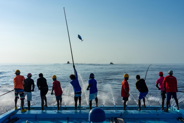 Duurzame visserij: waarom wij kiezen voor Fish4Ever