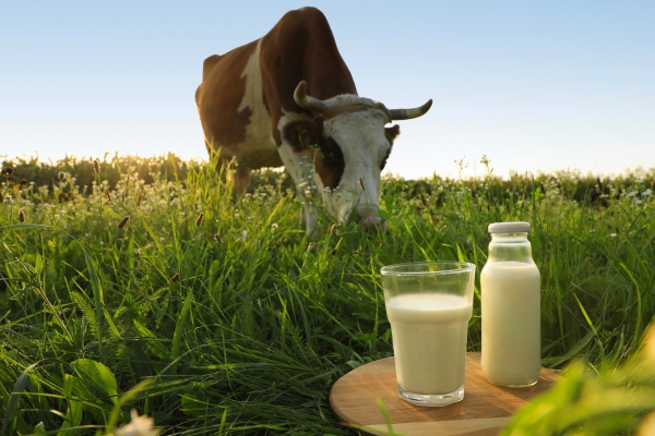 Steun onderzoek gezondheidsvoordelen rauwe melk