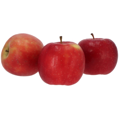 Candine appel 