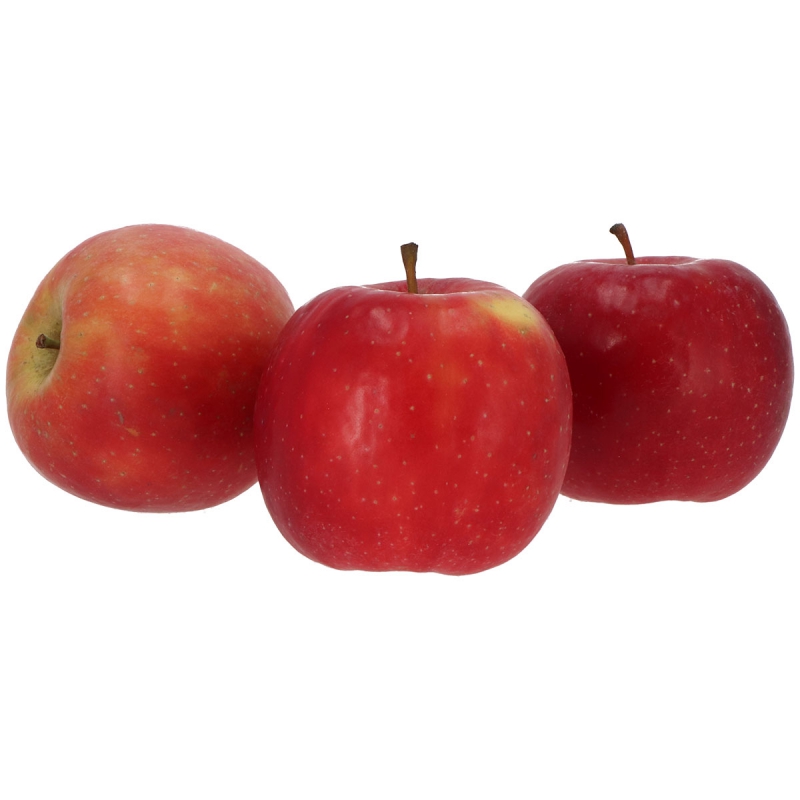 Candine appel