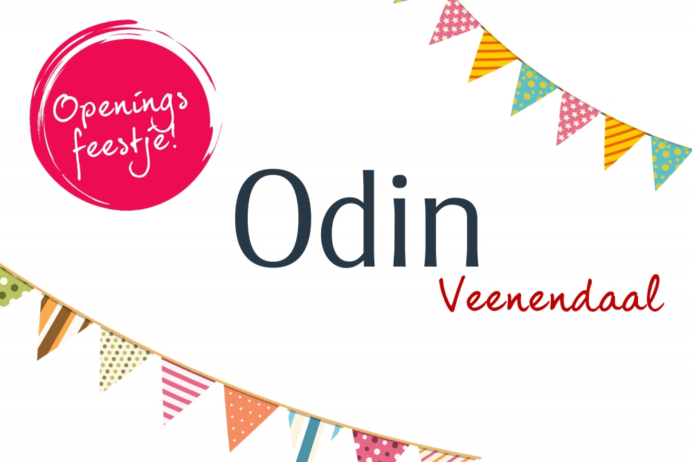 Website verhuizing Veenendaal biologisch odin boodschappen