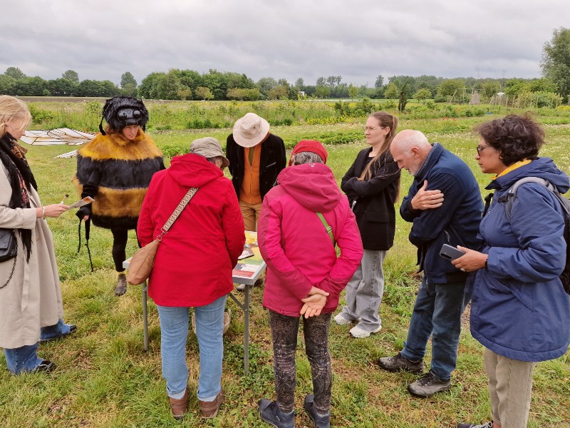 wilde bijenexpeditie Bee Foundation