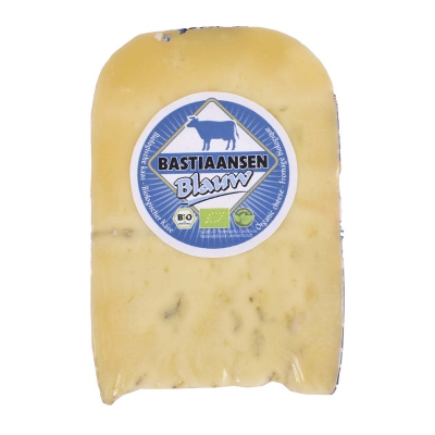 Blauwschimmel koe vp BASTIAANSEN