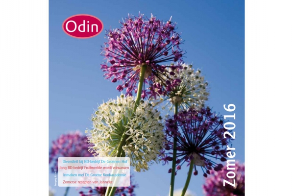 Zomermagazine 2016