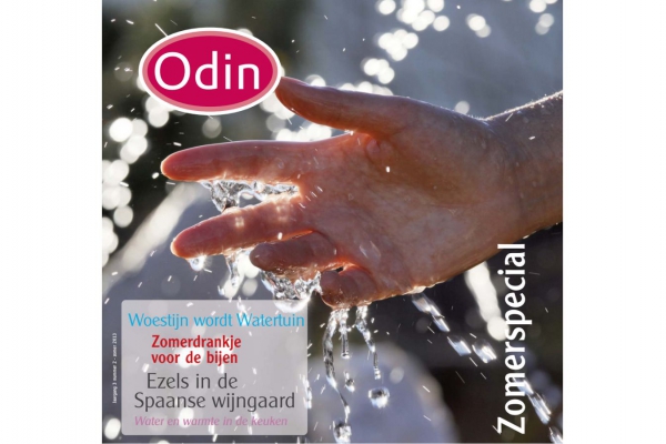 Zomermagazine 2013