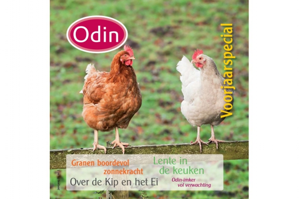 Lentemagazine 2013