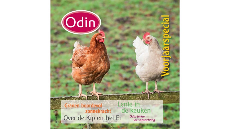 odin Lentemagazine 2013