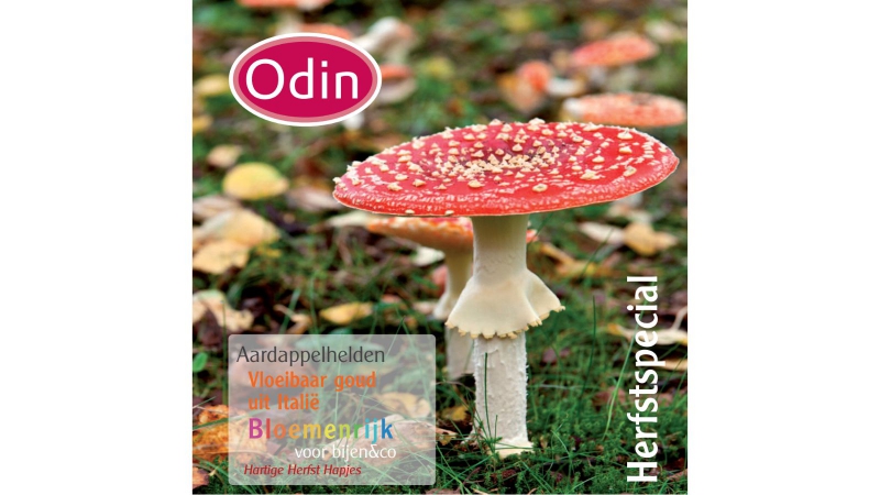 Odin Herfstmagazine 2012