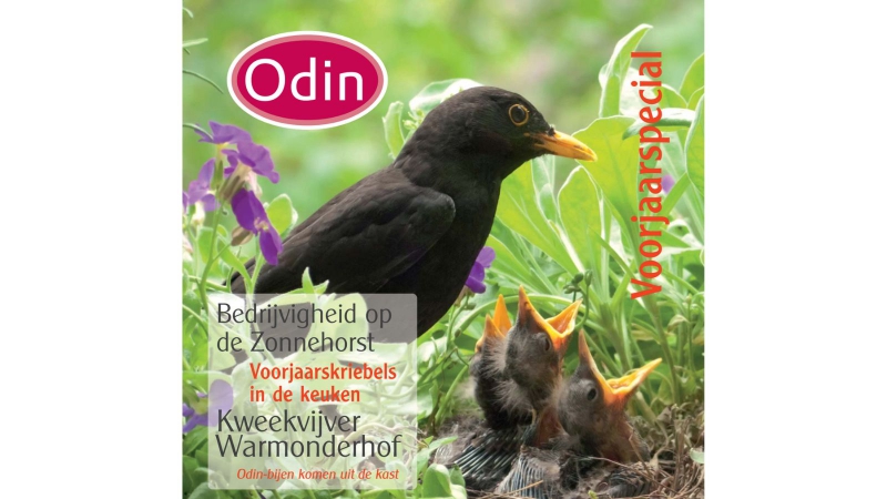 Odin Lentemagazine 2012