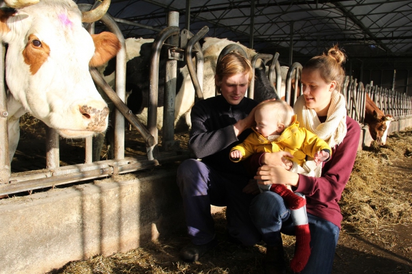 Hoe is het met de dieren?