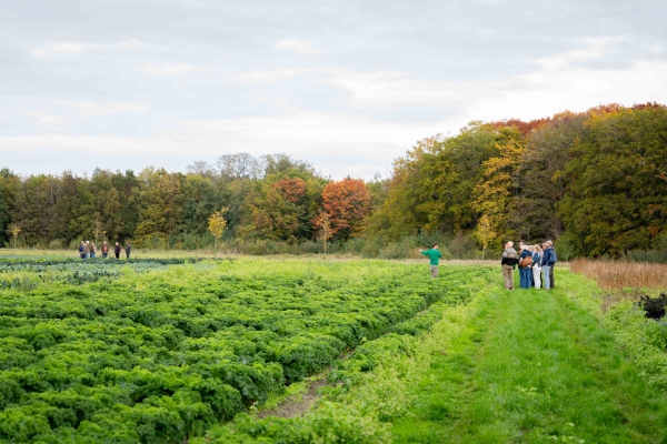 Fotoverslag Zaadvaste Dag op De Beersche Hoeve 18 oktober