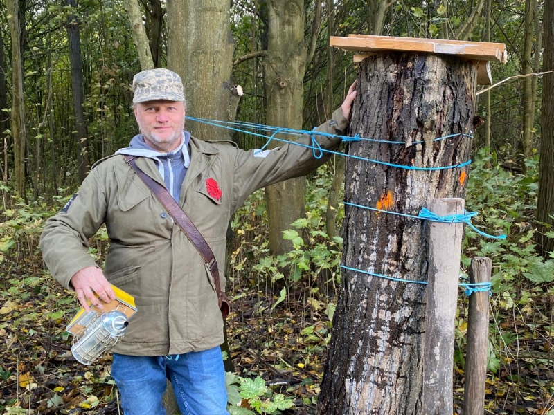 Bijenvolk in omgezaagde boom gered door Odin imkers 