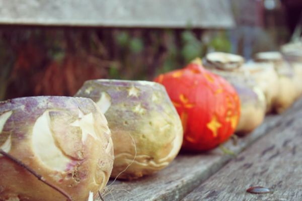 Sint Maarten lantaarntjes