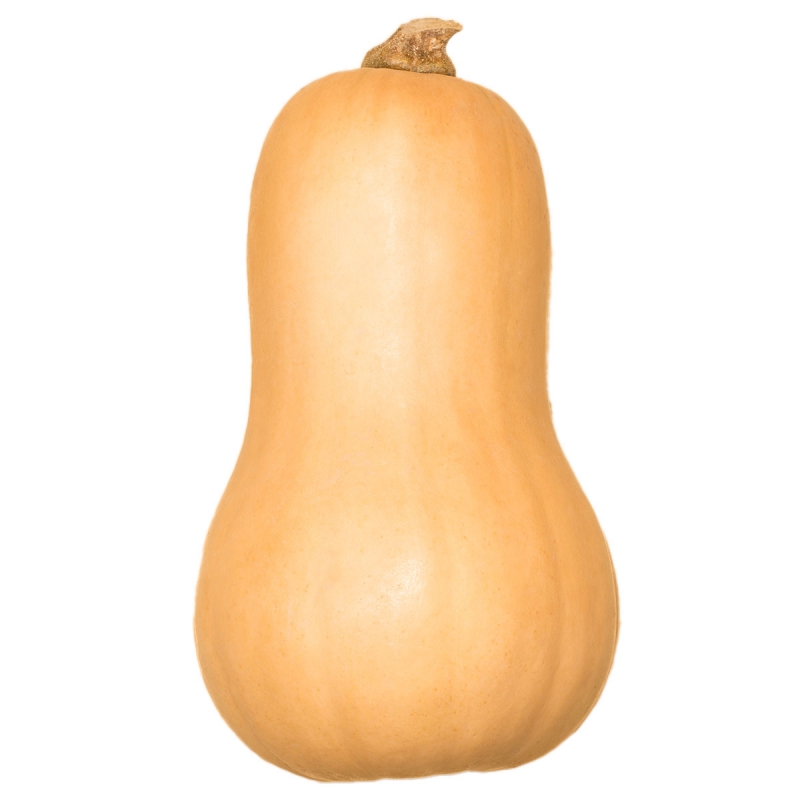 Butternut pompoen zaadvast