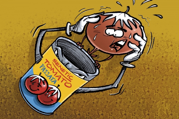 gentech toegestaan in ons voedsel