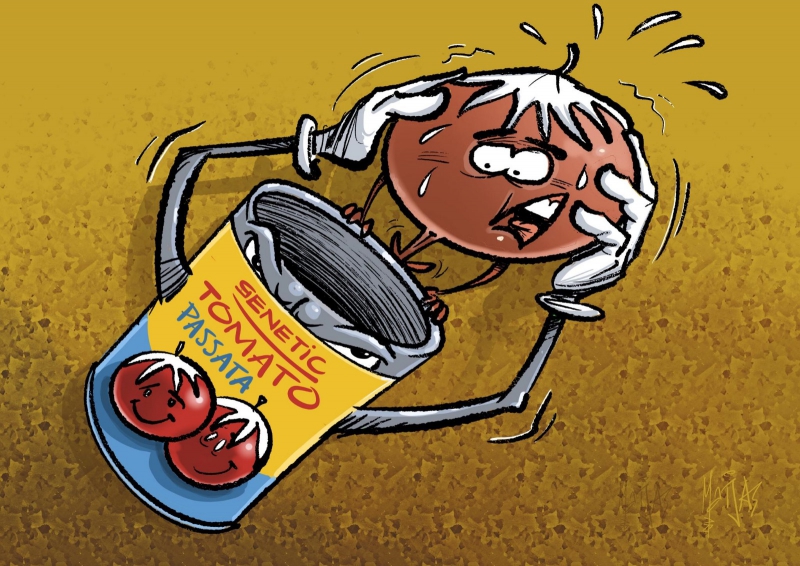 gentech toegestaan in ons voedsel