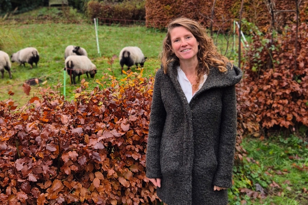 De band tussen bodem en buik