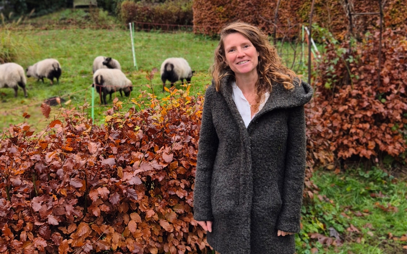 De band tussen bodem en buik