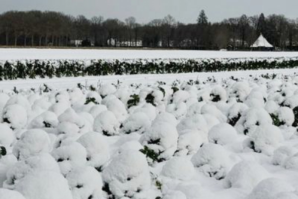 Klaar voor het seizoen op Odin-boerderij De Beersche Hoeve