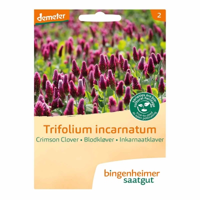 Inkarnaatklaver BINGENHEIMER SAATGUT