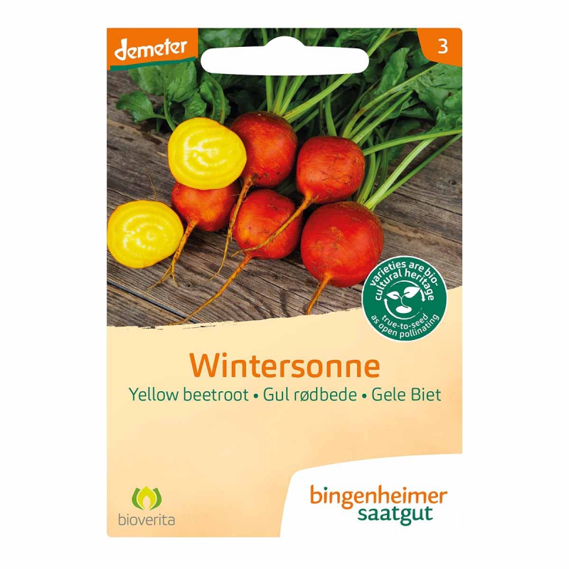 Gele biet wintersonne