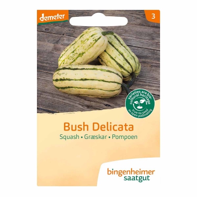 Pompoen bush delicata BINGENHEIMER SAATGUT