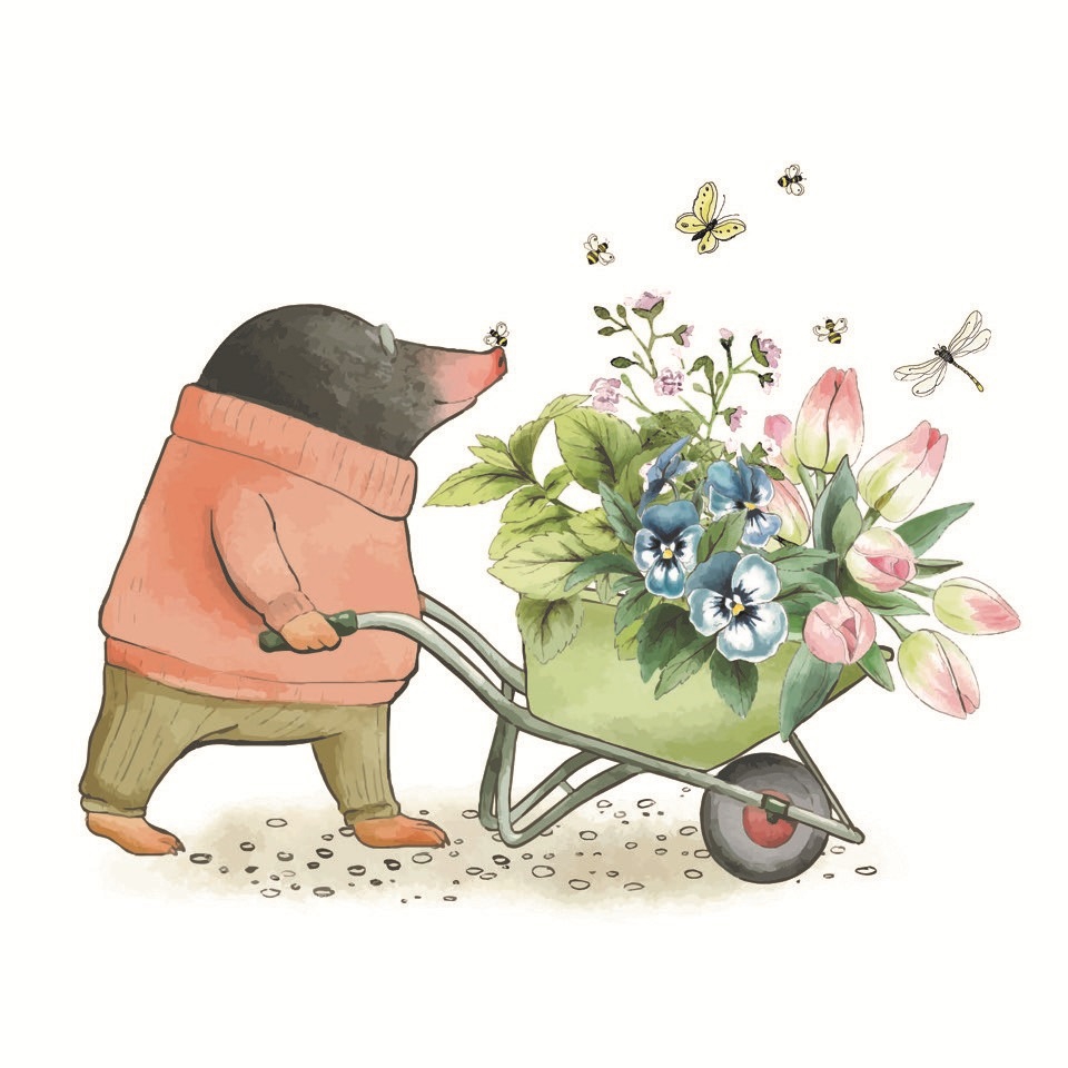 voorjaarsplantjesmarkt