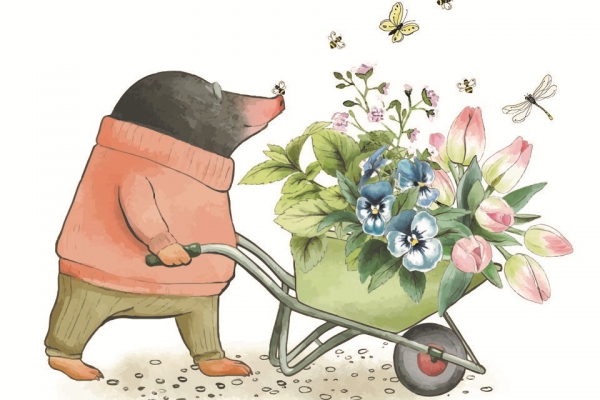 voorjaarsplantjesmarkt