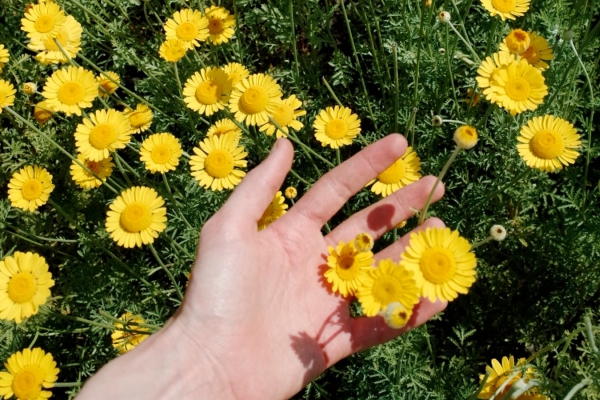 22 maart - Pop-up verflab Claudy Jongstra op Museumplein