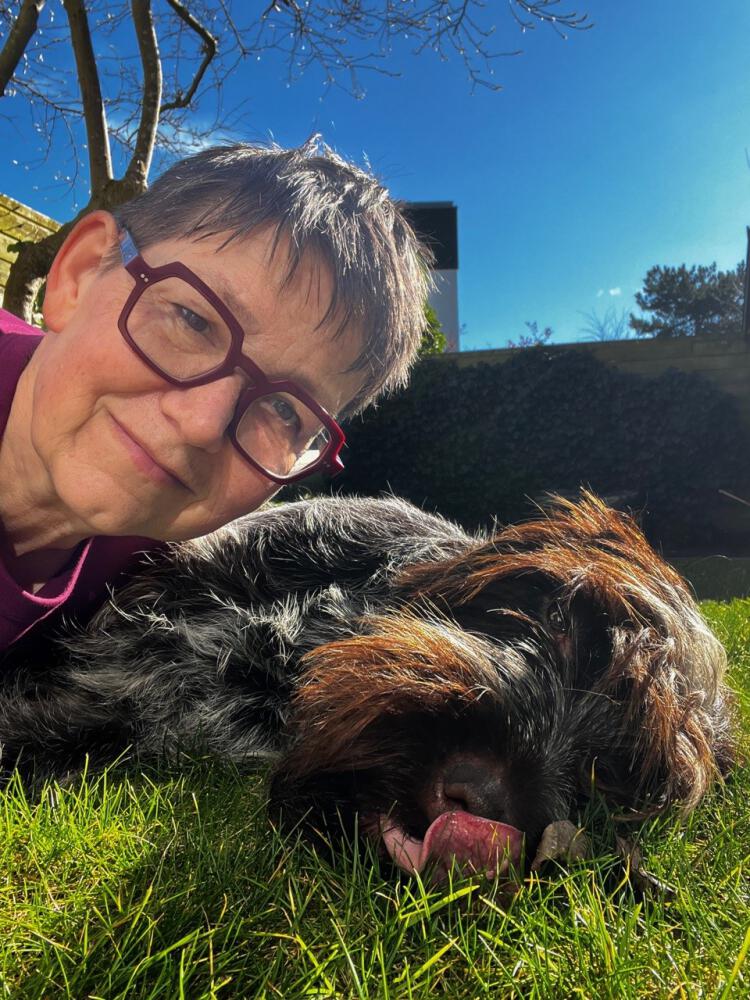 Afbeelding 50% [kopie] [kopie] [kopie]