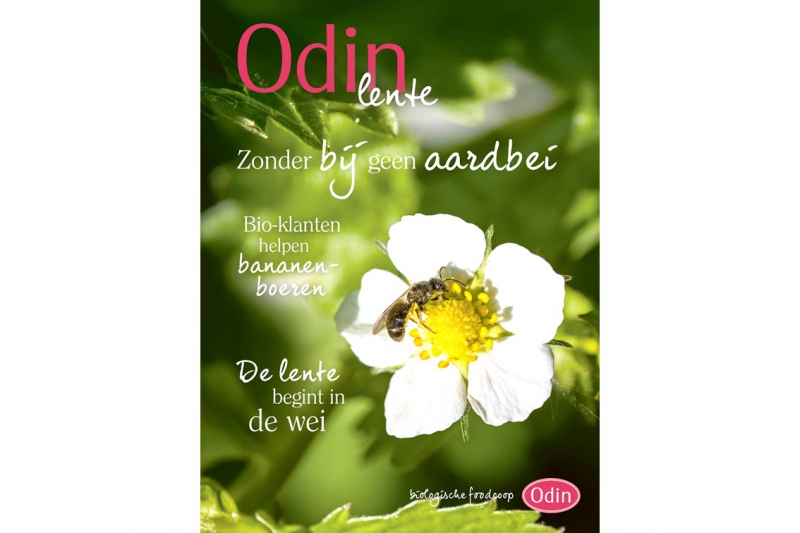 Odin Lentemagazine 2026