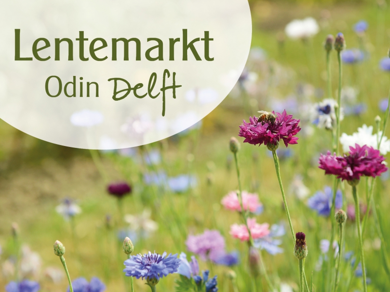 Lentemarkt Odin Delft