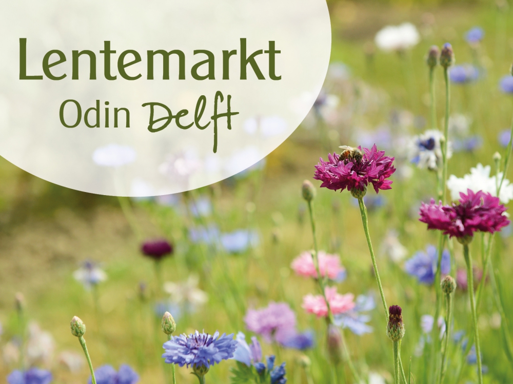 Lentemarkt Odin Delft