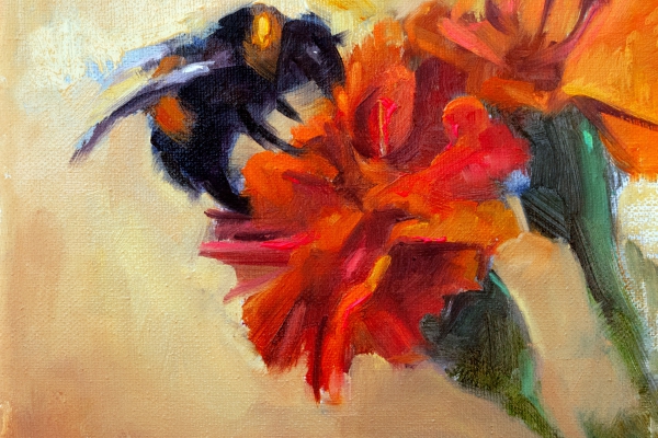 17 mei: Meimaand Bijmaand in de KunstHal met de imker en Expositie 'Flowers Forever'