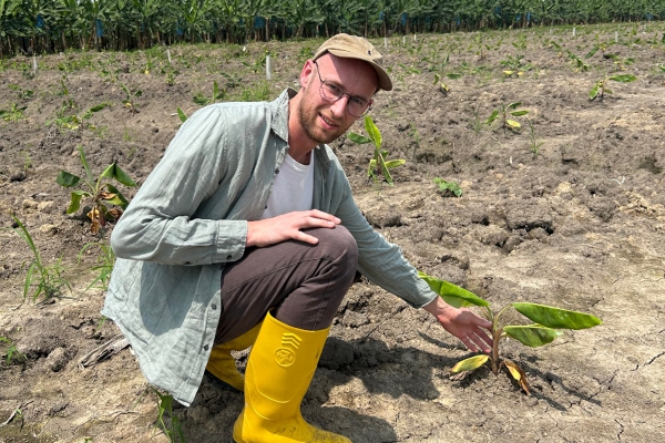 Sierd Hettema Odin bananen APPBOSA true price